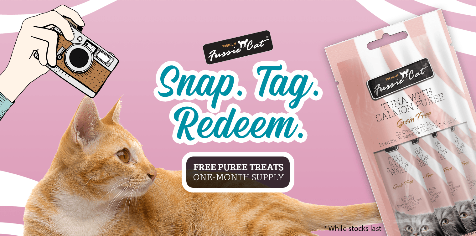 Fussie Cat Puree Treats Snap.Tag.Redeem Video Campaign