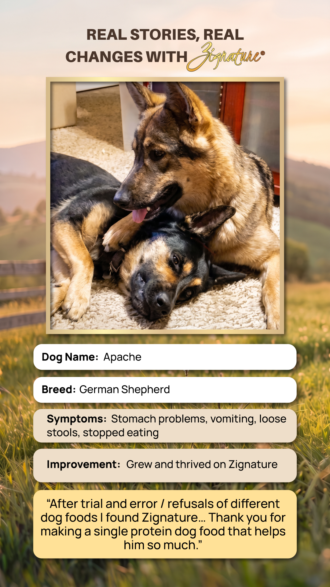 single protein dog food