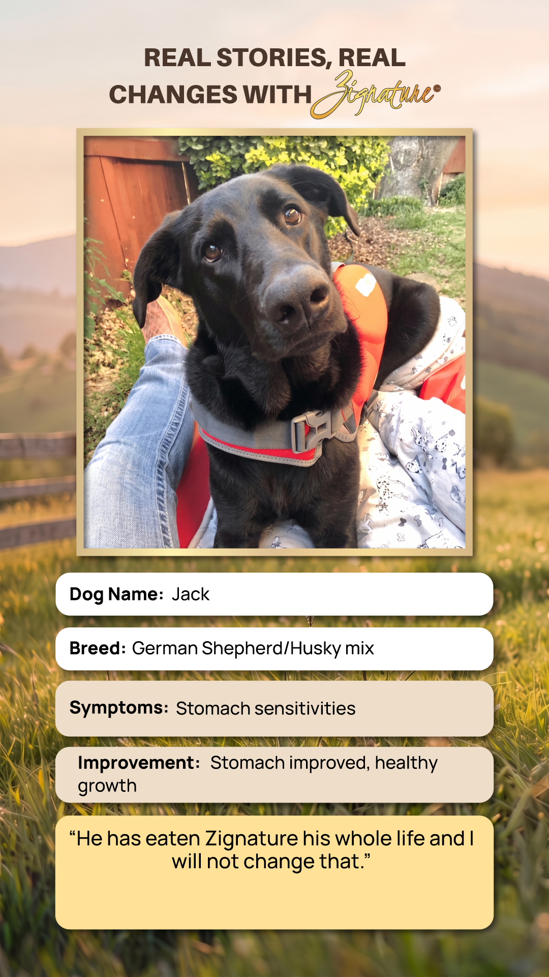 hypoallergenic dog food