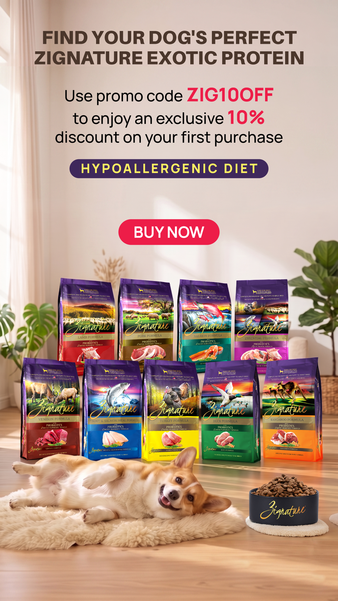 How to choose a good dog food - A guide to complete cat food wet formulas in Singapore.